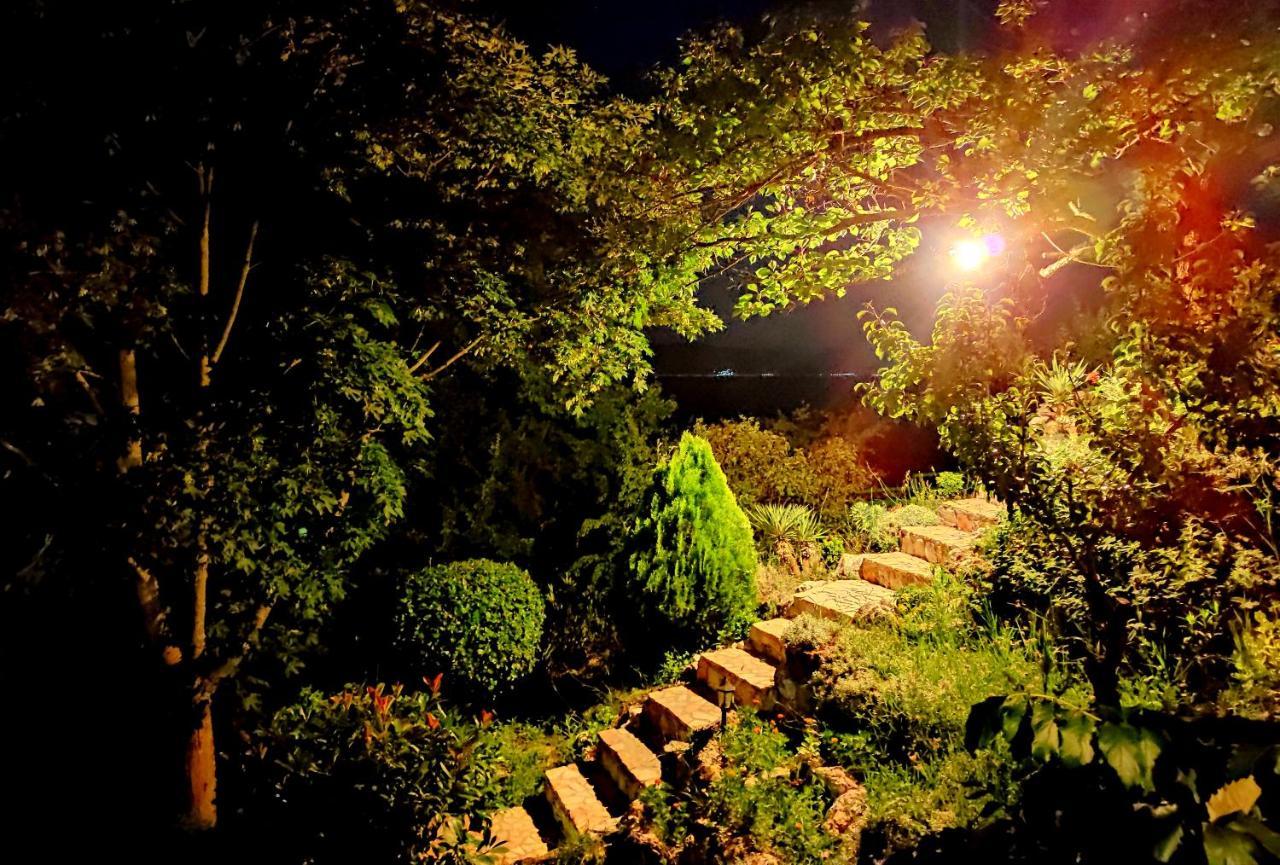 Villa Forest Paradise Ohrid Exterior foto