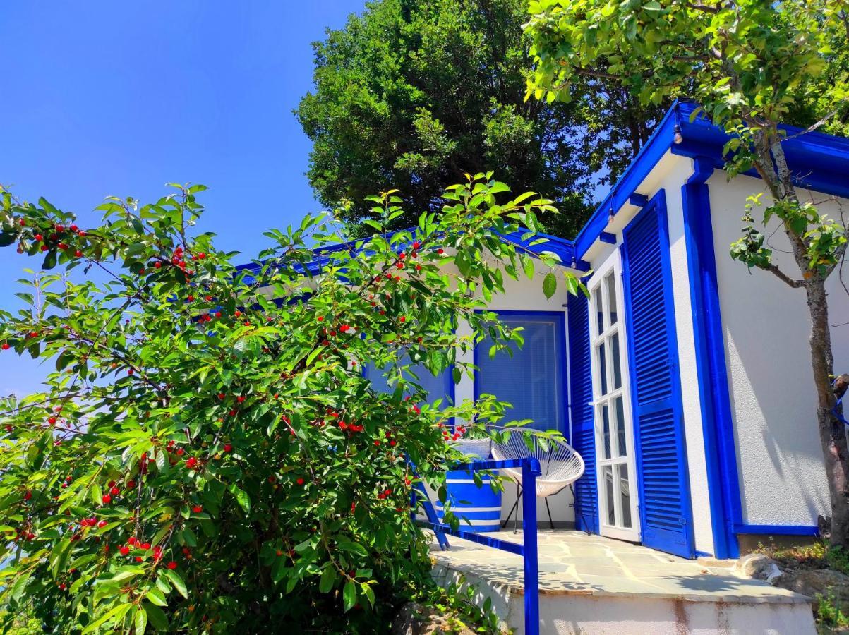 Villa Forest Paradise Ohrid Exterior foto