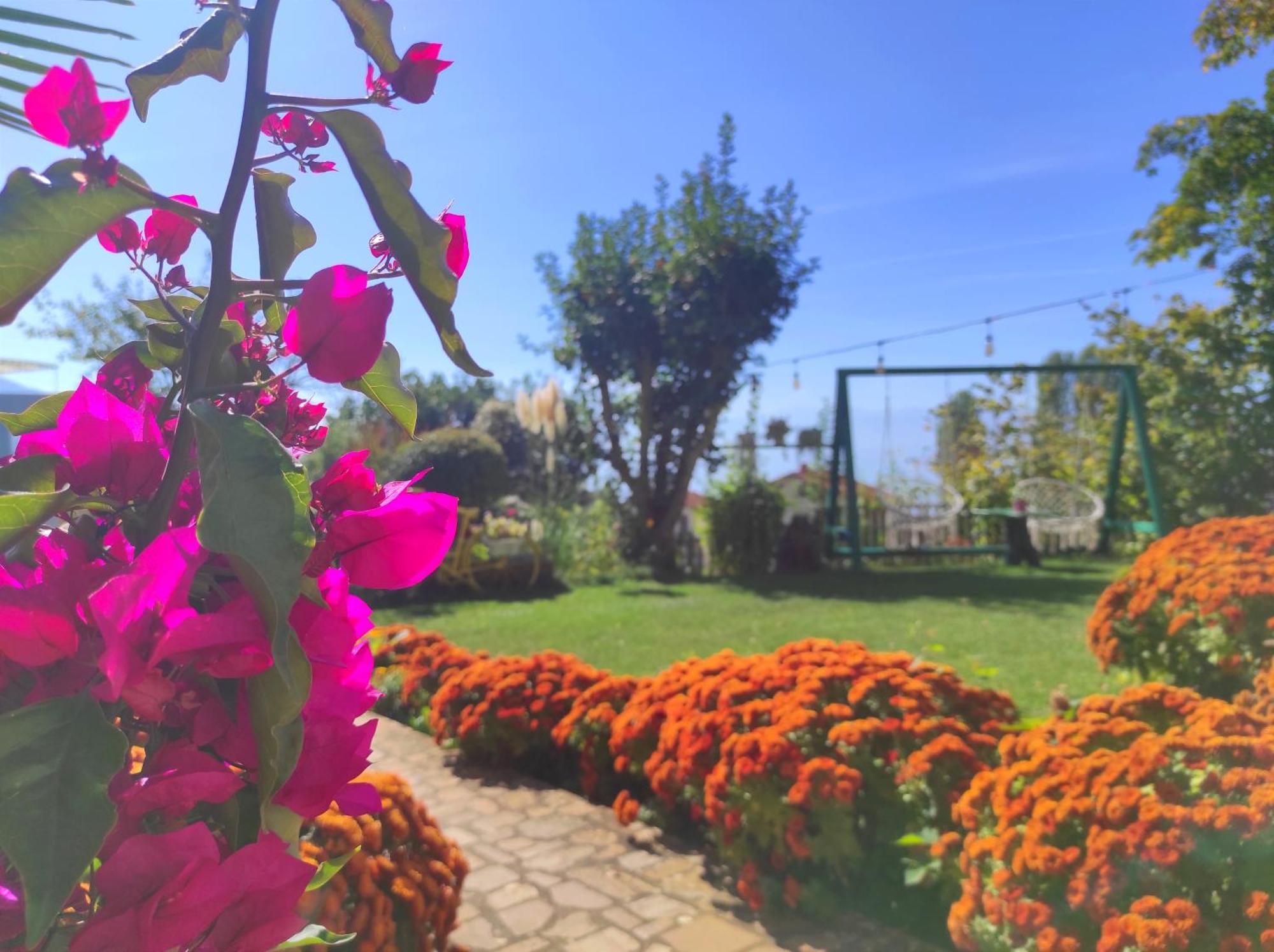 Villa Forest Paradise Ohrid Exterior foto