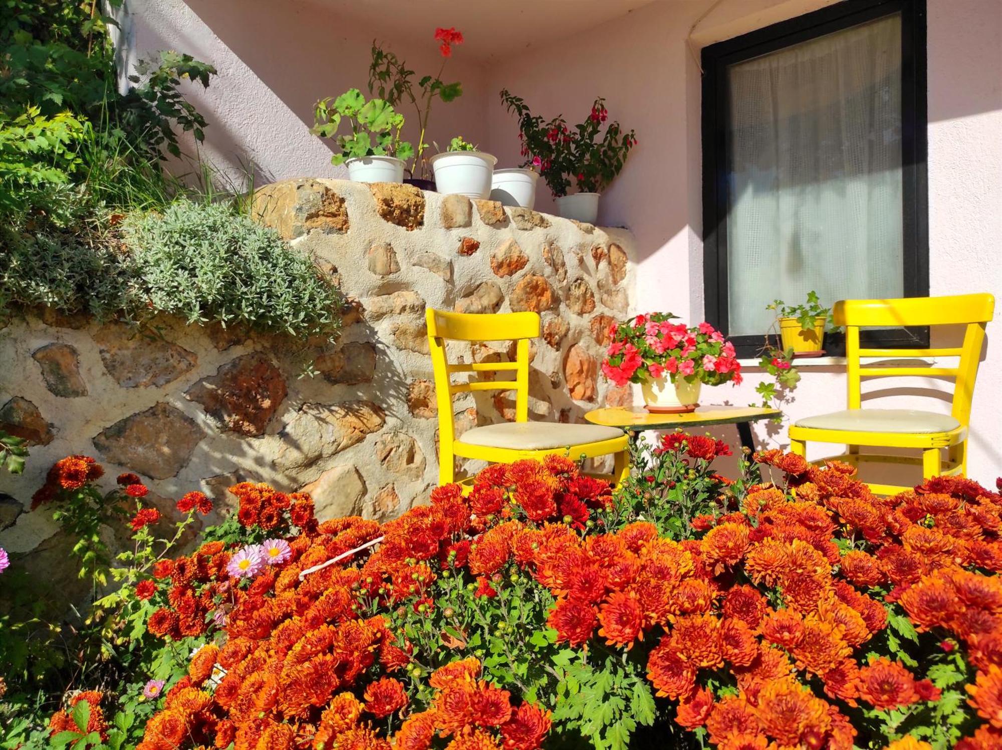 Villa Forest Paradise Ohrid Exterior foto