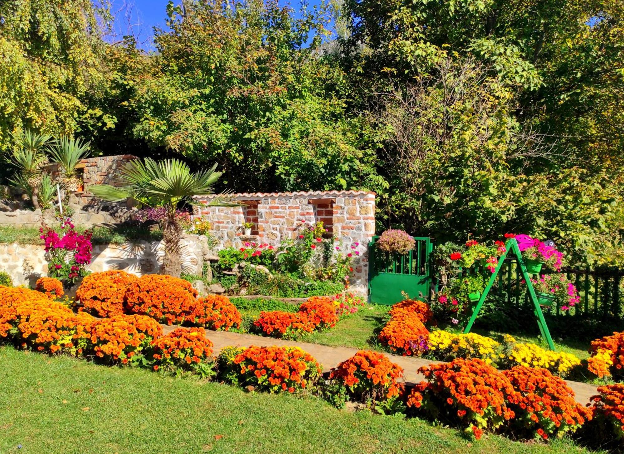Villa Forest Paradise Ohrid Exterior foto