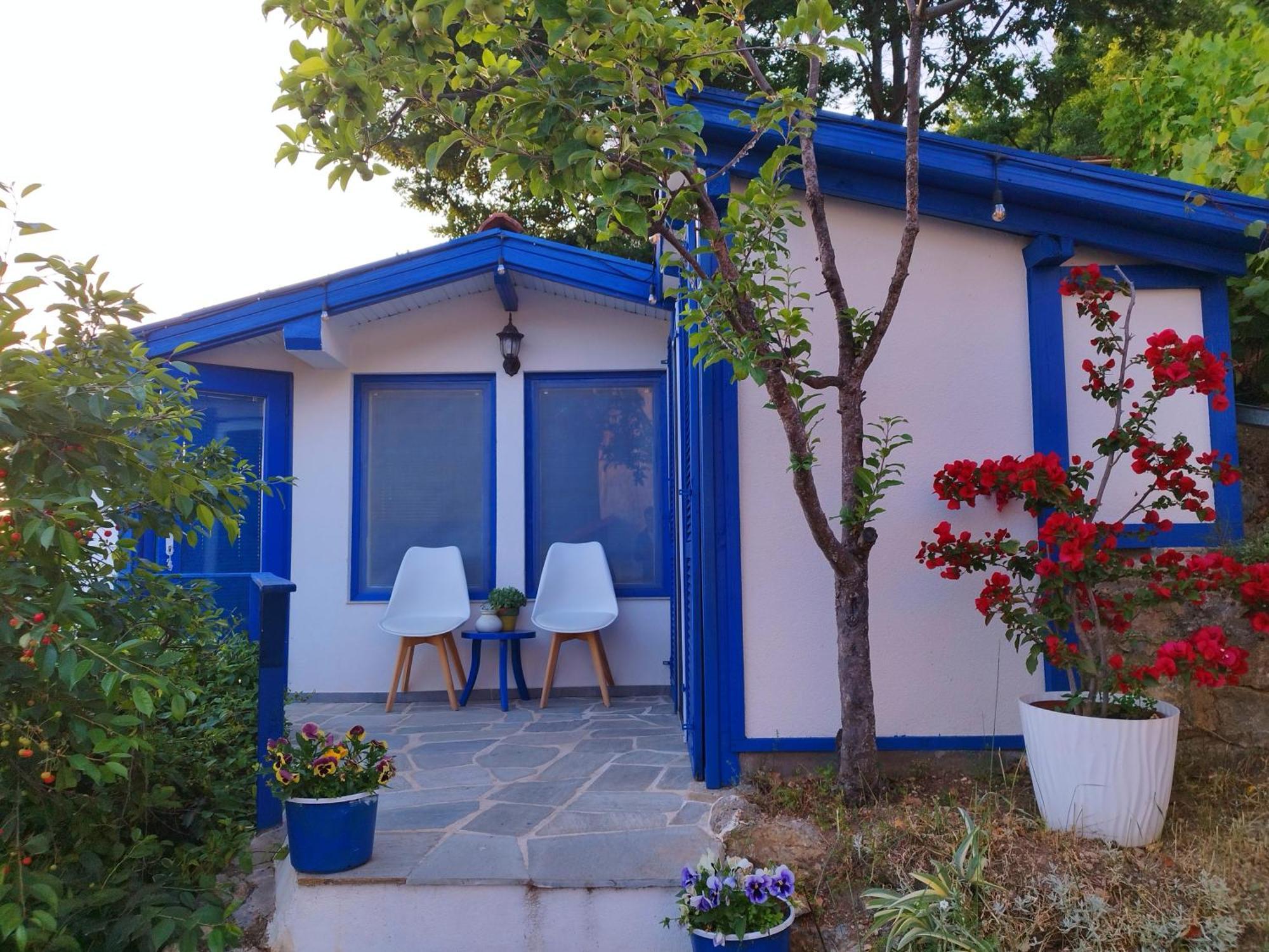 Villa Forest Paradise Ohrid Exterior foto